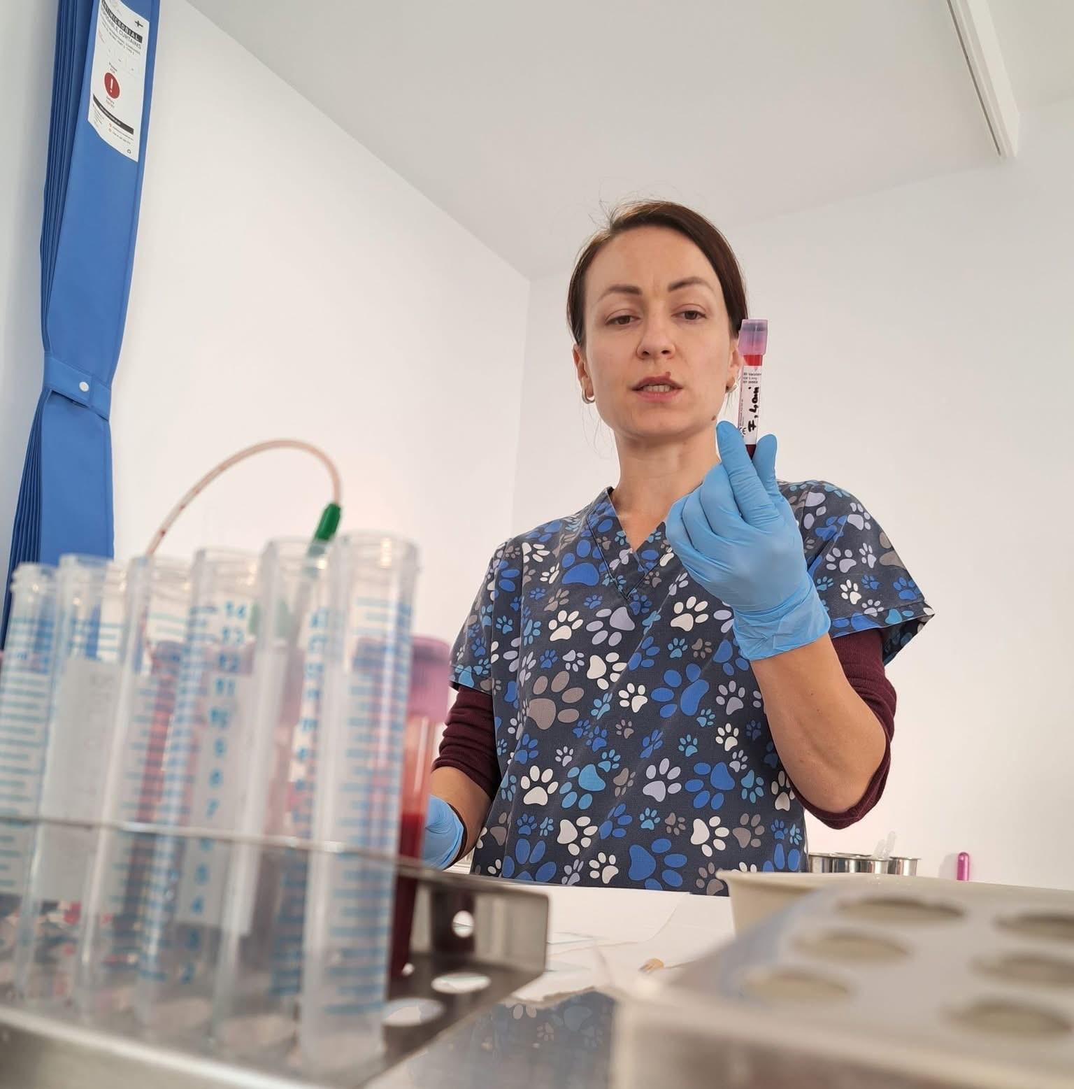 Primul Diplomat european în Parazitologie Veterinară al USAMV Cluj