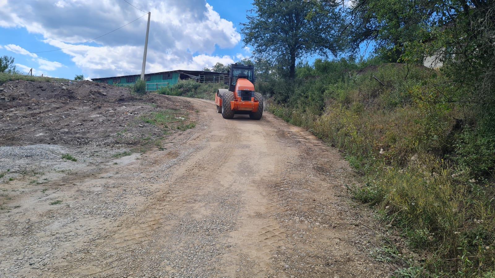 Lucrări de întreținere pe drumul județean care face legătura cu Monumentul Răscoalei de la Bobâlna