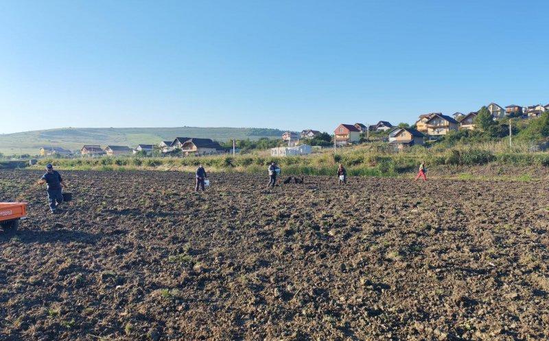 Lucrări de întreținere și protejare pe Lacul 4 din Câmpenești, Apahida