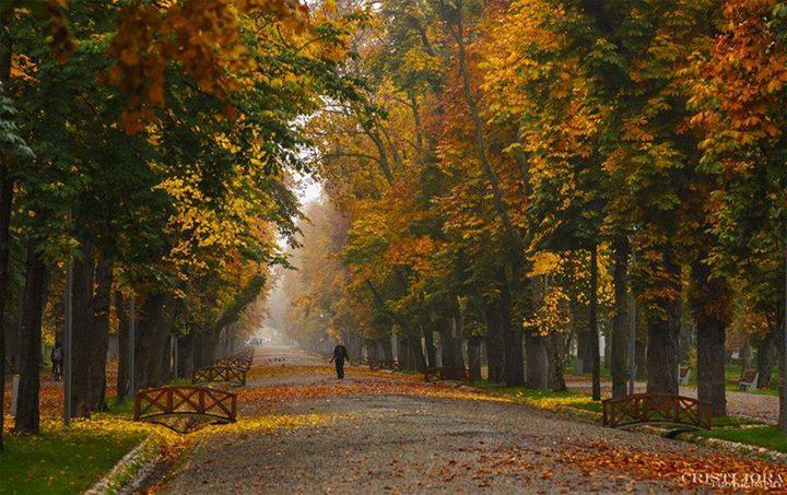 Vremea se răcește, vor fi ploi, lapoviţă şi ninsoare în anumite zone, până duminică