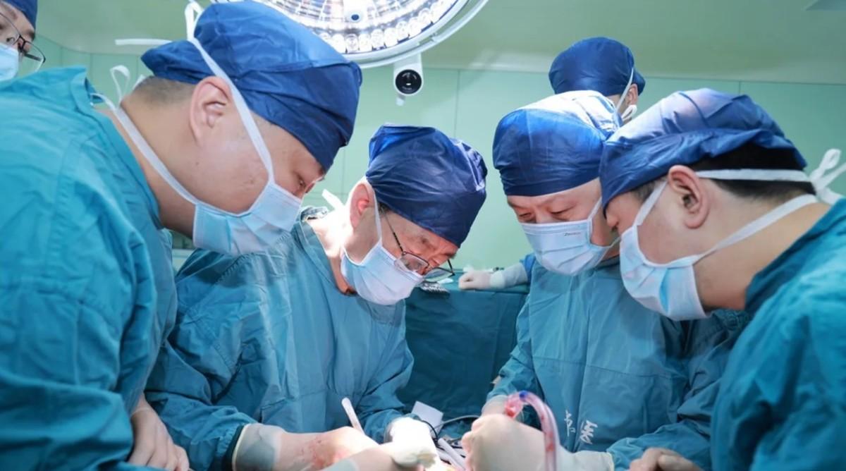 Premieră mondială: Transplant de ficat de la porc la om, în China 